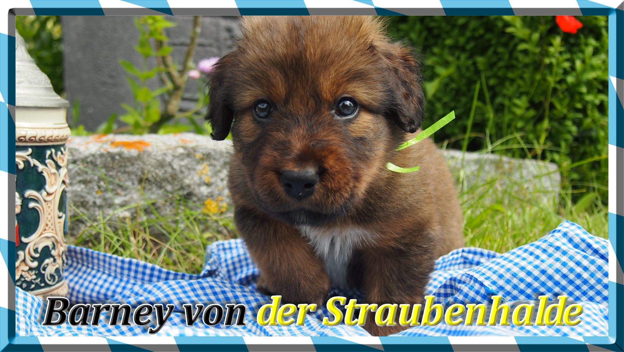 W&auml;ller von der Straubenhalde